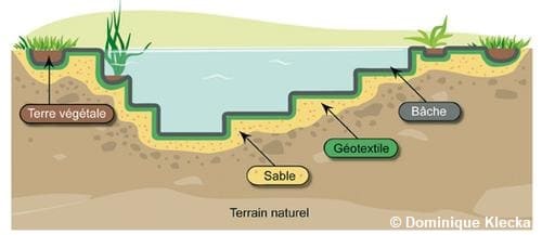 Créer une mare naturelle.
Schéma d'une coupe verticale de mare. Cette coupe indique les différents surface. 1 le terrain, 2 du sable, 3 le géotextile, 4 la bâche.
La mare a plusieurs niveaux à pour augmenter la biodiversité.